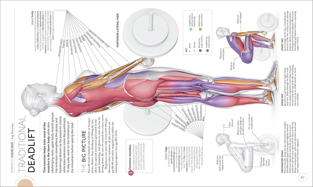 Ciencia del entrenamiento de fuerza: comprenda la anatomía y la fisiología para transformar su cuerpo (La ciencia del fitness)