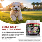 Clean Pets Aceite de Salmón Omega 3 para Perros con Colágeno, Aloe Vera, Biotina y Queratina - Suplemento para Piel y Pelaje