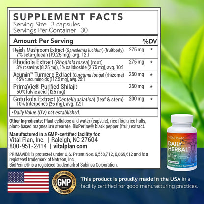 Vital Plan Daily Herbal Supplement - – Promover la salud y resiliencia celular frente al estrés oxidativo. – Image 2