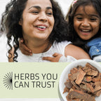 Evergreen Herbs Té de Cuachalalate - 20 Bolsitas