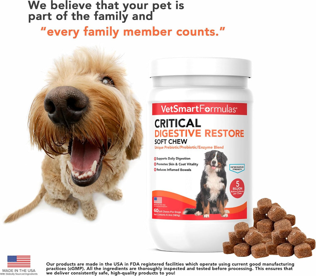 Critical Digestive Restore Soft Chews para Perros - Apoyo Probiótico de Fuerza Veterinaria con 10 Mil Millones de UFC por Dosis