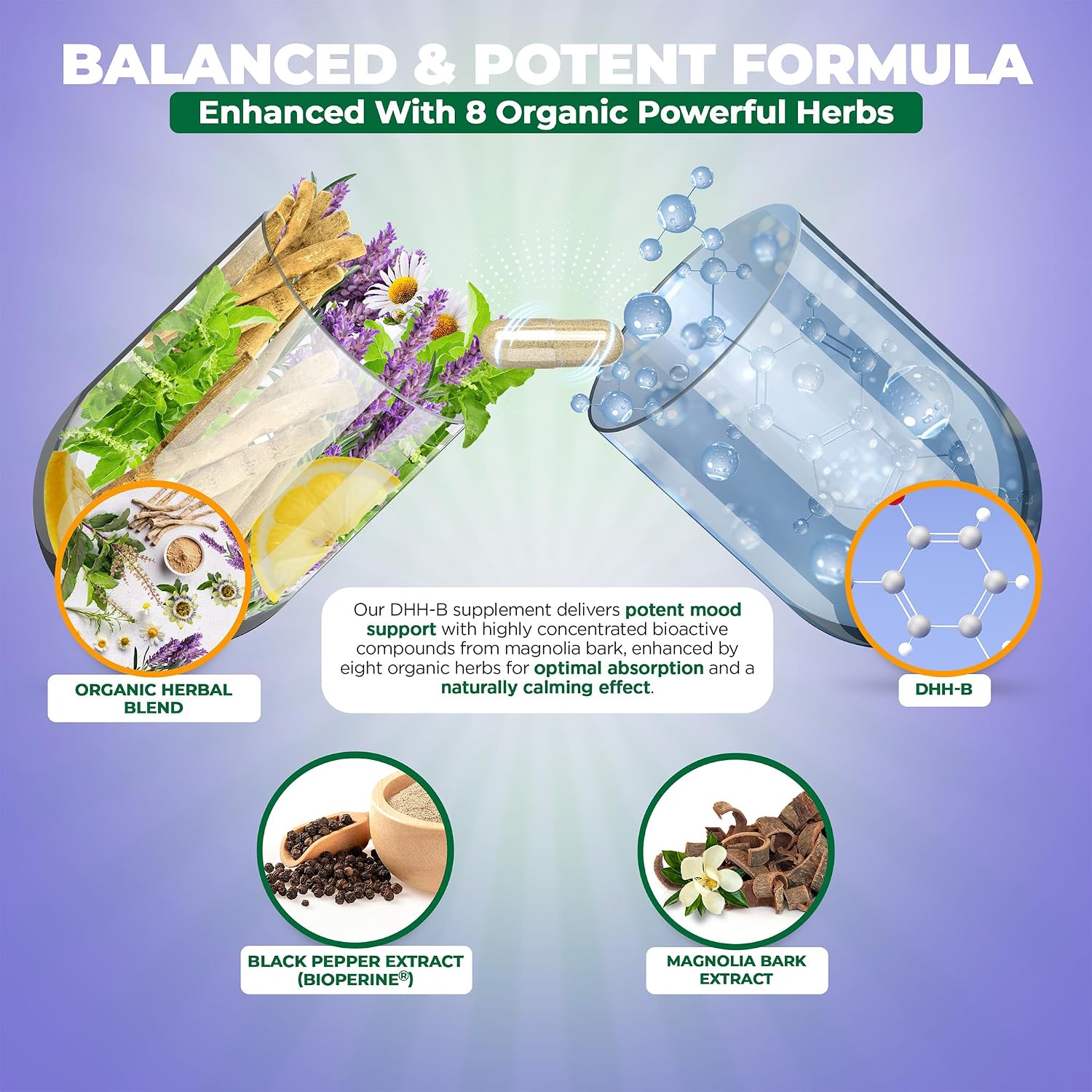 MoxyVites DHH-B Supplement - Extracto Bioactivo de Corteza de Magnolia con Ashwagandha Orgánica, 60 Cápsulas Veganas