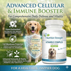Complejo de Vitamina E para Perros con Zinc, Selenio, Folato y Aceite de Salmón - 120 Comprimidos Masticables
