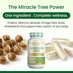 Cápsulas de Semillas de Moringa Ecológicas de Organic Veda - 120 Cápsulas Veganas