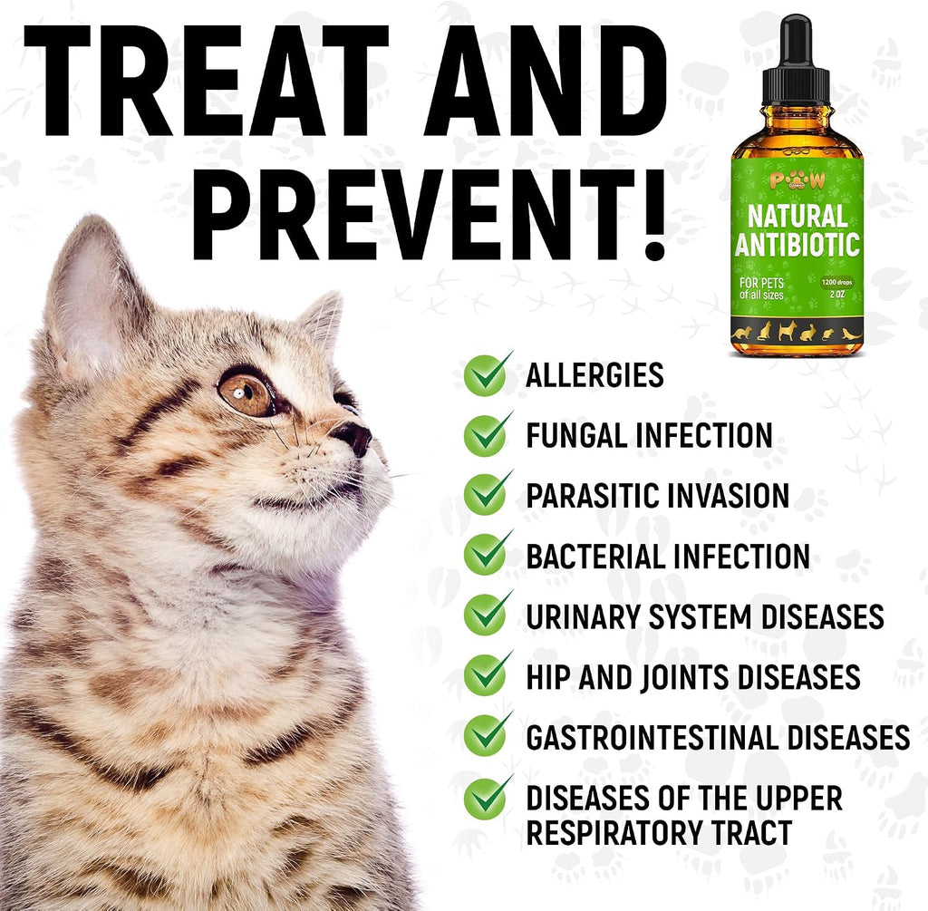 Golden Paw Antibióticos Naturales para Perros y Gatos – Gotas Orales – 2 oz (59 ml)