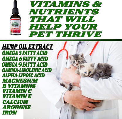 Pet Hemp Oil - Aceite de Cáñamo y Hierba – Hierba gatera (catnip): Hierba tradicional utilizada por sus – Image 2