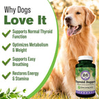 Suplemento Tiroideo Natural para Perros con Perejil, Ashwagandha, Jengibre, Cardo Mariano y Gordolobo - 90 Cápsulas