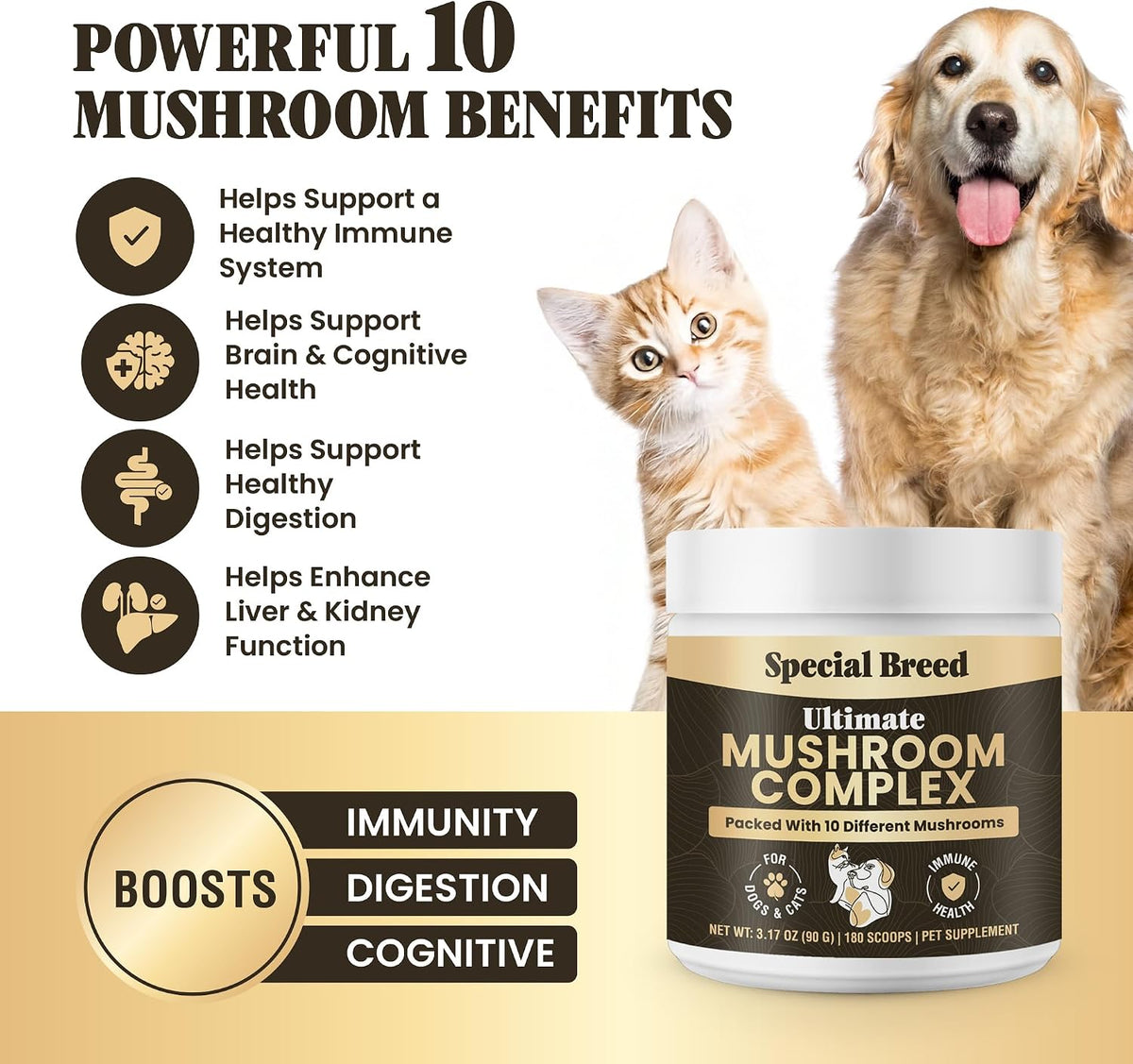 Mushroom Powder for Dogs & Cats - Organic Mushroom Complex for Immune Support, Cognition, Vitality - Ten Mushroom Supplement – Image 2