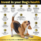 Life4Legs Soft Chews - Multivitamínico para Perros