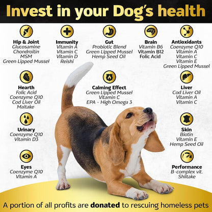Life4Legs Soft Chews - Multivitamínico para Perros – Image 2