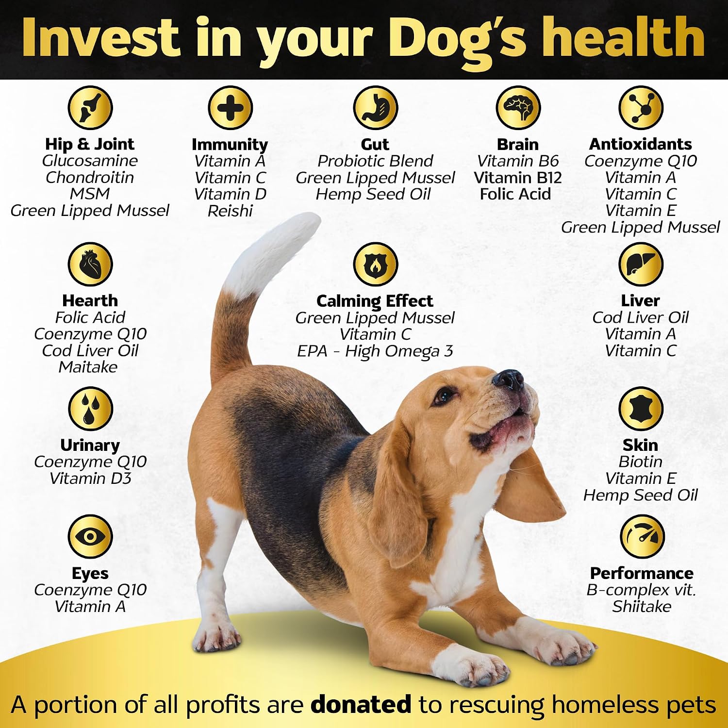 Life4Legs Soft Chews Multivitamínicos para Perros