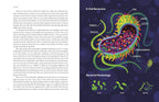 Immune: A Journey Into the Mysterious System That Keeps You Alive