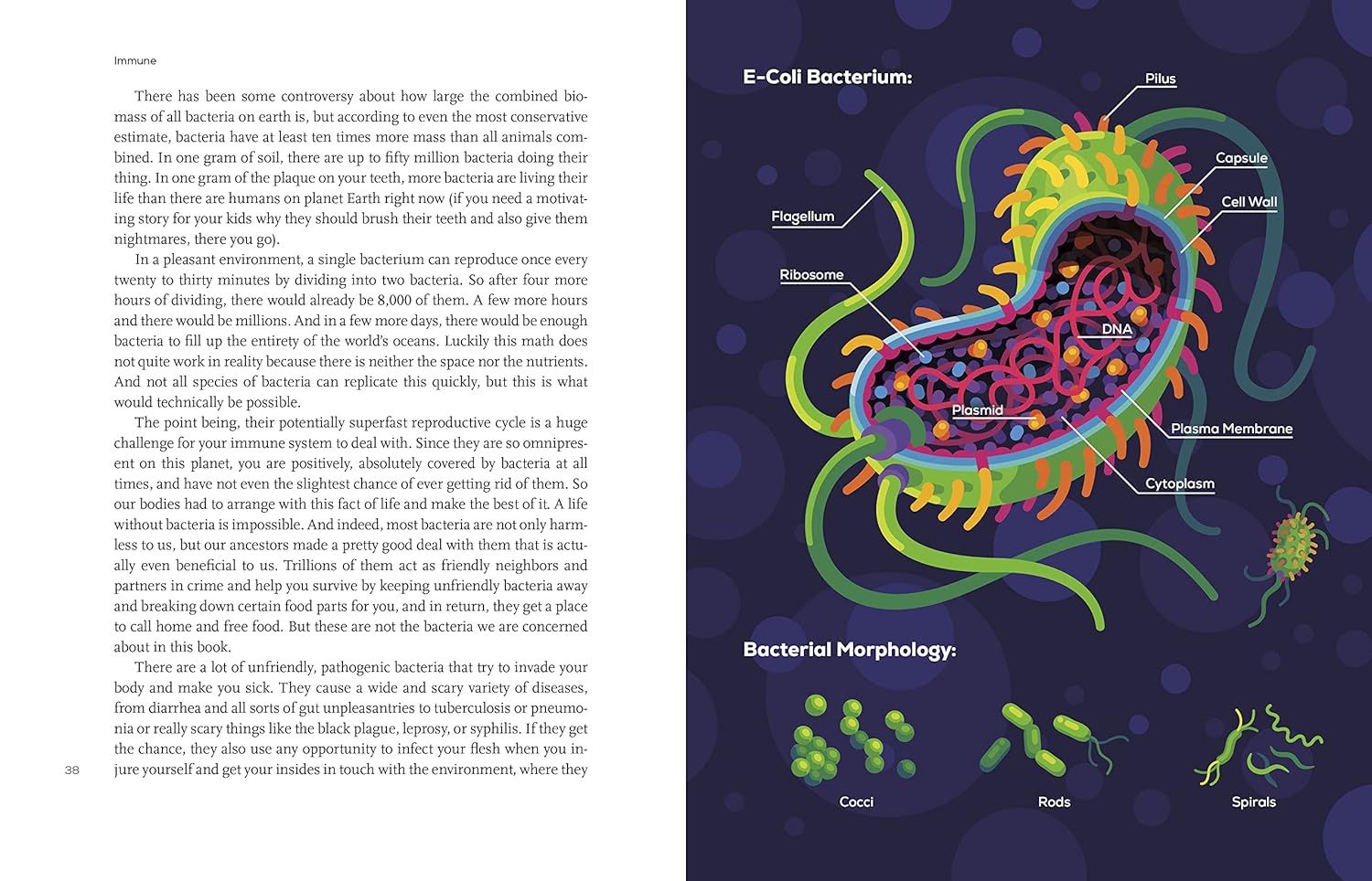 Immune: A Journey Into the Mysterious System That Keeps You Alive