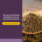 Extracto de Semilla de Apio de Natural Factors – Suplemento Herbal para la Circulación, 60 Cápsulas
