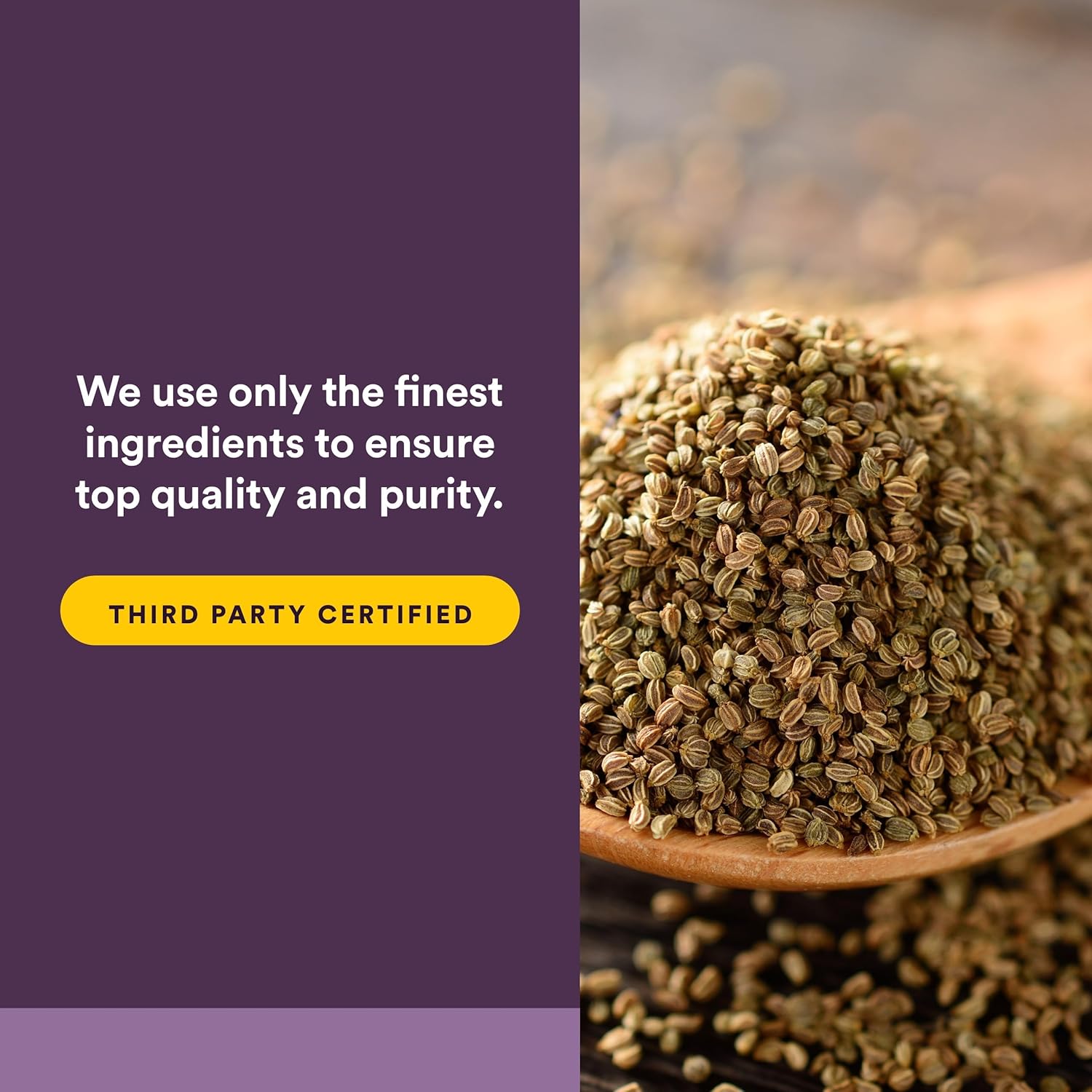 Extracto de Semilla de Apio de Natural Factors – Suplemento Herbal para la Circulación, 60 Cápsulas