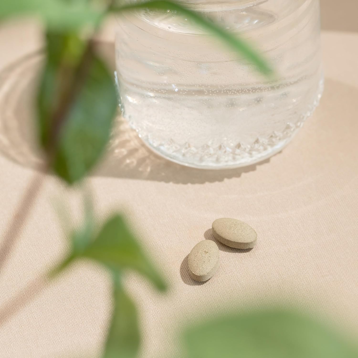 Banyan Botanicals Organic Tranquil Mind – 90 Comprimidos – Suplemento para el Sistema Nervioso y Relajación Física