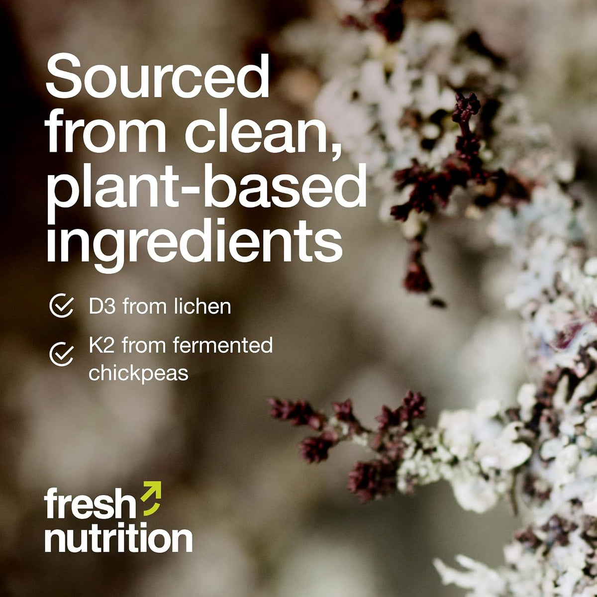 Fresh Nutrition Vitamina D3 + K2 Vegana - 5000 UI D3 + 100mcg K2 como MK-7 - 90 Cápsulas – Image 6