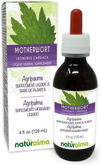 Naturalma Tintura de Motherwort (Leonurus cardiaca) - Extracto líquido sin alcohol, 118 ml - Suplemento herbal vegano