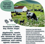 Milk Wealth™ Calostro Bovino en Polvo 50g | Liofilizado con IgG Natural | Apoyo Inmunitario y Salud Intestinal | Pasto Alimentado y Sin Sabor | No Transgénico y Sin Gluten | 25 Sobres Individuales (2g Cada Uno)