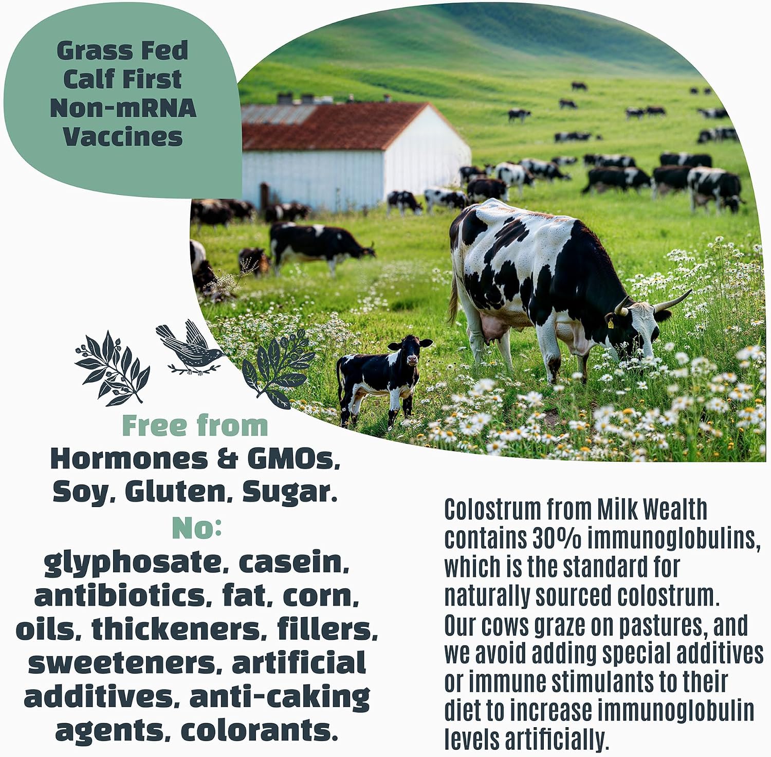 Milk Wealth™ Calostro Bovino en Polvo 50g | Liofilizado con IgG Natural | Apoyo Inmunitario y Salud Intestinal | Pasto Alimentado y Sin Sabor | No Transgénico y Sin Gluten | 25 Sobres Individuales (2g Cada Uno)