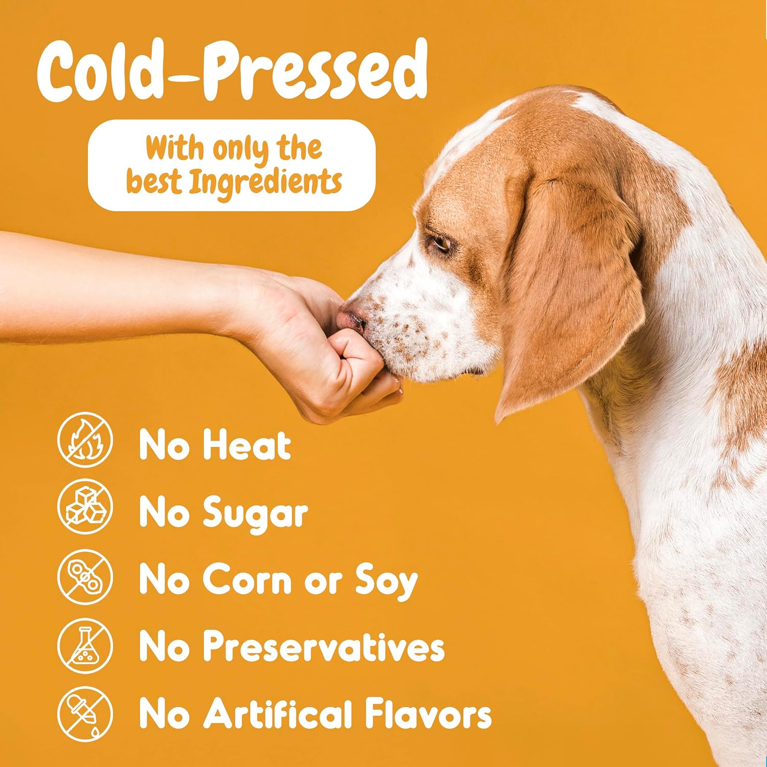 INNER PAW Probióticos para Perros con Enzimas Digestivas y Prebióticos – 120 Masticables Sabor Pollo