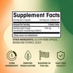 Cápsulas de Moringa 1300 mg | Moringa Oleifera Pura | 90 Cápsulas