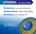 LOVITA Liposomal NR (Nicotinamida Ribósido) 1000 mg con Quercetina y Trans-Resveratrol – 100 Cápsulas Veganas