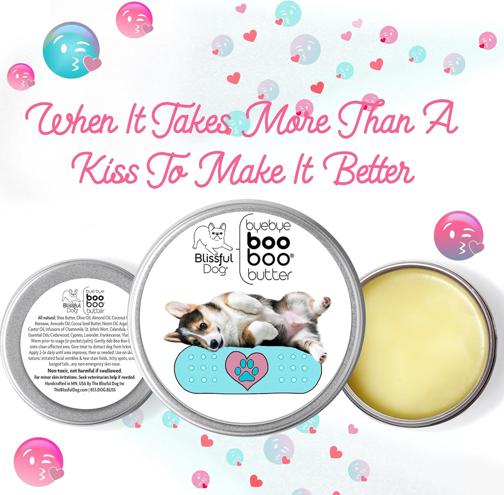 The Blissful Dog Mantequilla Booboo de Corgi en LATA de 8 oz