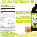 Basic Ayurveda Amla (Gooseberry) Juice | 32.46 Fl Oz (960ml) | Rich in Natural Vitamin C for Immunity, Skin Glow & Hair Health | Herbal Detox & Daily Ayurvedic Wellness Drink | No Added Sugar