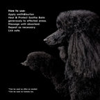 smith&burton Heal & Protect Soothe Balm - Bálsamo natural para perros y gatos con Miel de Manuka, 62 g