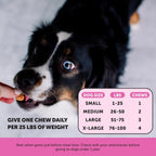 Pet Honesty Multivitamínico Máxima Potencia para Perros con Glucosamina y Probióticos, 90 Comprimidos Sabor Salmón