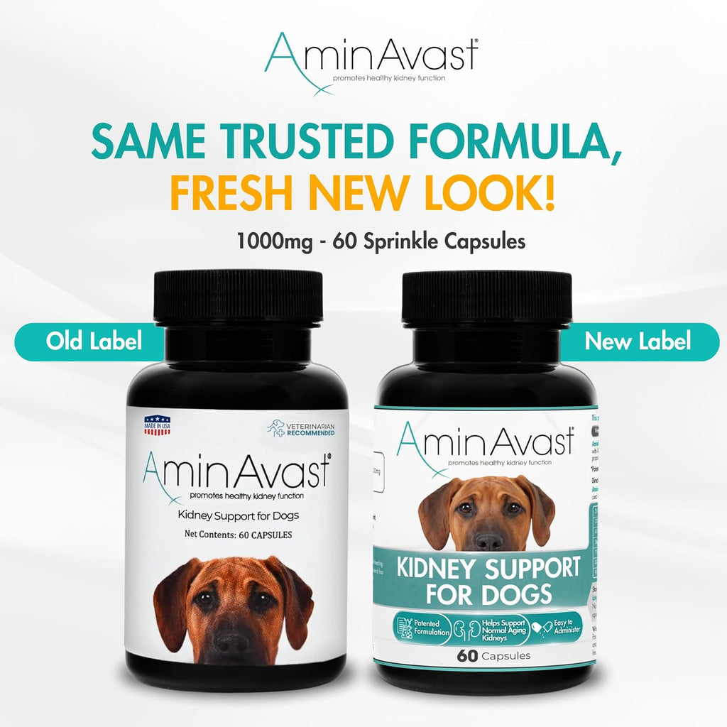 AminAvast Kidney Support - Suplemento para apoyo renal en perros (1000 mg, Pack de 3, 60 cápsulas)