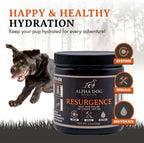 Alpha Dog Nutrition Electrolitos para Perros - Suplemento de Hidratación Formulado por Doctores con Sabor a Carne de Res para Caninos Activos - Polvo Versátil para la Recuperación de la Deshidratación y la Resistencia