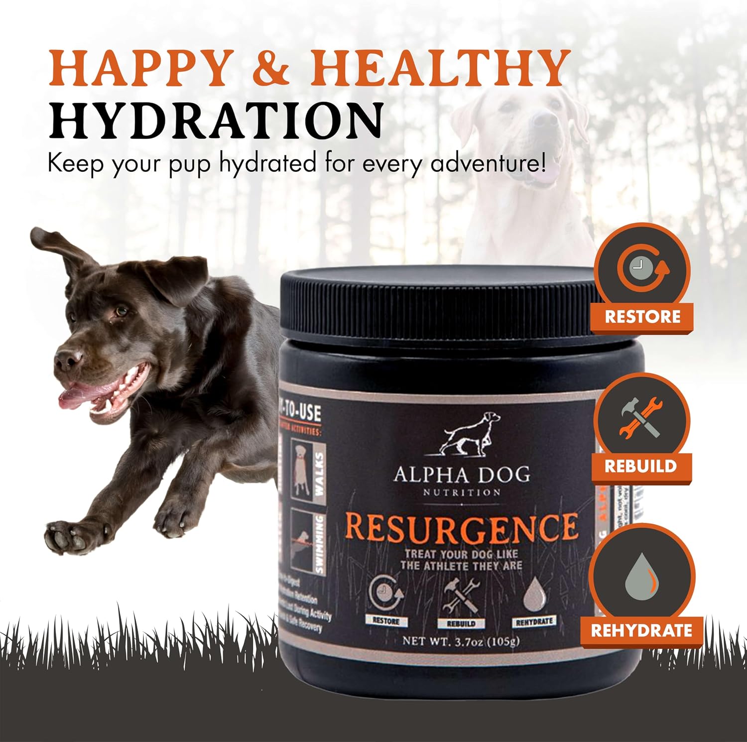 Alpha Dog Nutrition Electrolitos para Perros - Suplemento de Hidratación Formulado por Doctores con Sabor a Carne de Res para Caninos Activos - Polvo Versátil para la Recuperación de la Deshidratación y la Resistencia