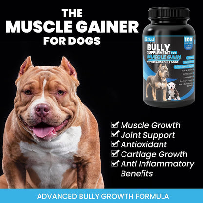Kilab Dog Weight Gainer – 100 Comprimidos Masticables para Perros – Image 2