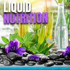 Omnitrition Pack AM y PM: Omni IV Líquido Multivitamínico con Glucosamina y OmniTrim Nite Lite