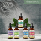Herbal Goodness Kids Focus Formula - Gotas Líquidas para la Concentración Infantil con Ashwagandha y Moringa