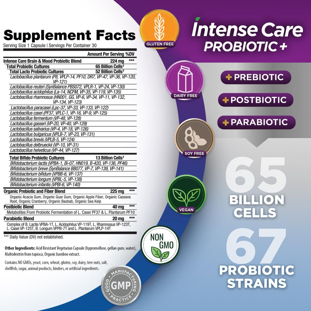 Vital Planet Intense Care Brain & Mood - – Prebióticos orgánicos: 7 tipos de fibras vegetales orgánicas que nutren – Image 2