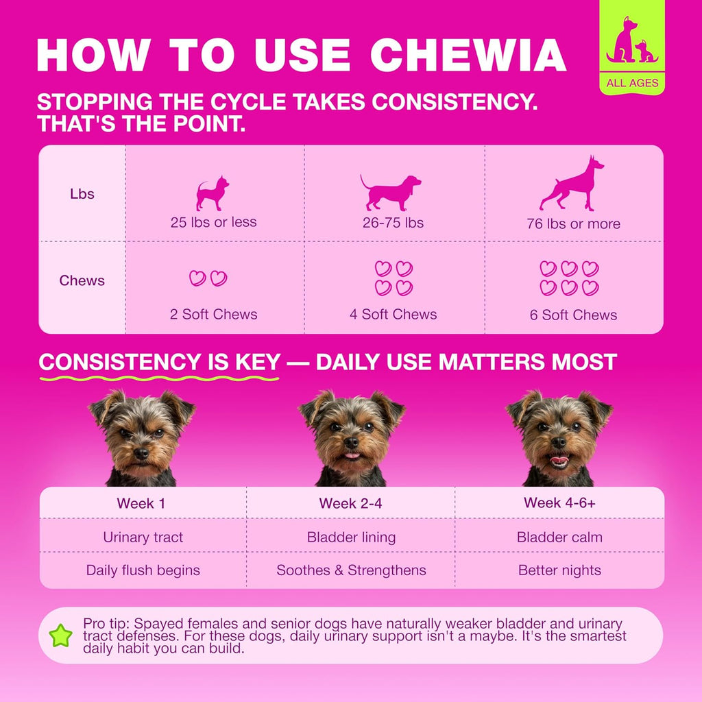 Suplemento de arándano rojo para perros – Salud de vejiga y riñones – CHEWIA