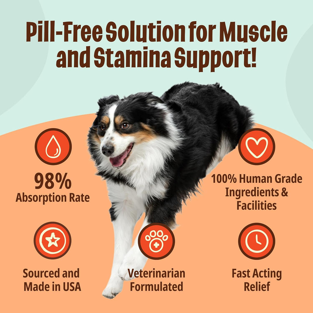 Licks Active Dog - Recuperación muscular y energía para perros activos - Aminoácidos, L-Carnitina, Glucosamina, Aceite de pescado Omega-3 y Vitamina B6 - Sobres líquidos sin pastillas - Sabor pollo - 15 sobres