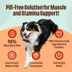 Licks Active Dog - Recuperación muscular y energía para perros activos - Aminoácidos, L-Carnitina, Glucosamina, Aceite de pescado Omega-3 y Vitamina B6 - Sobres líquidos sin pastillas - Sabor pollo - 15 sobres