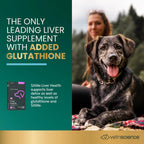 VetriScience SAMe Liver Health Tablets 225 mg – Suplemento Hepático para Perros Medianos y Grandes (30 comprimidos)