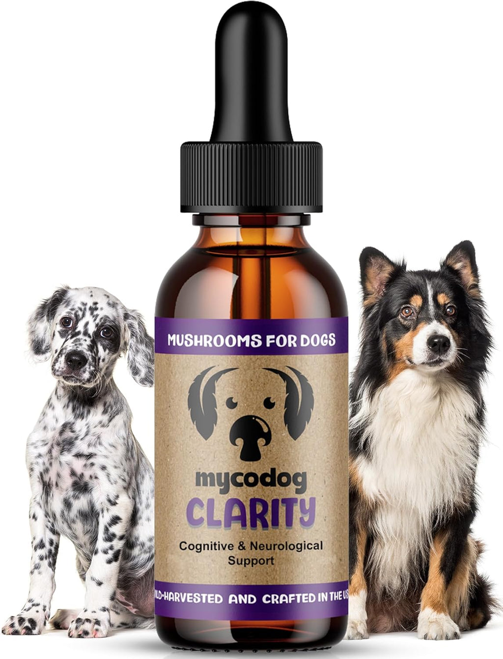 MycoDog Clarity - Complemento para la función cognitiva en perros mayores