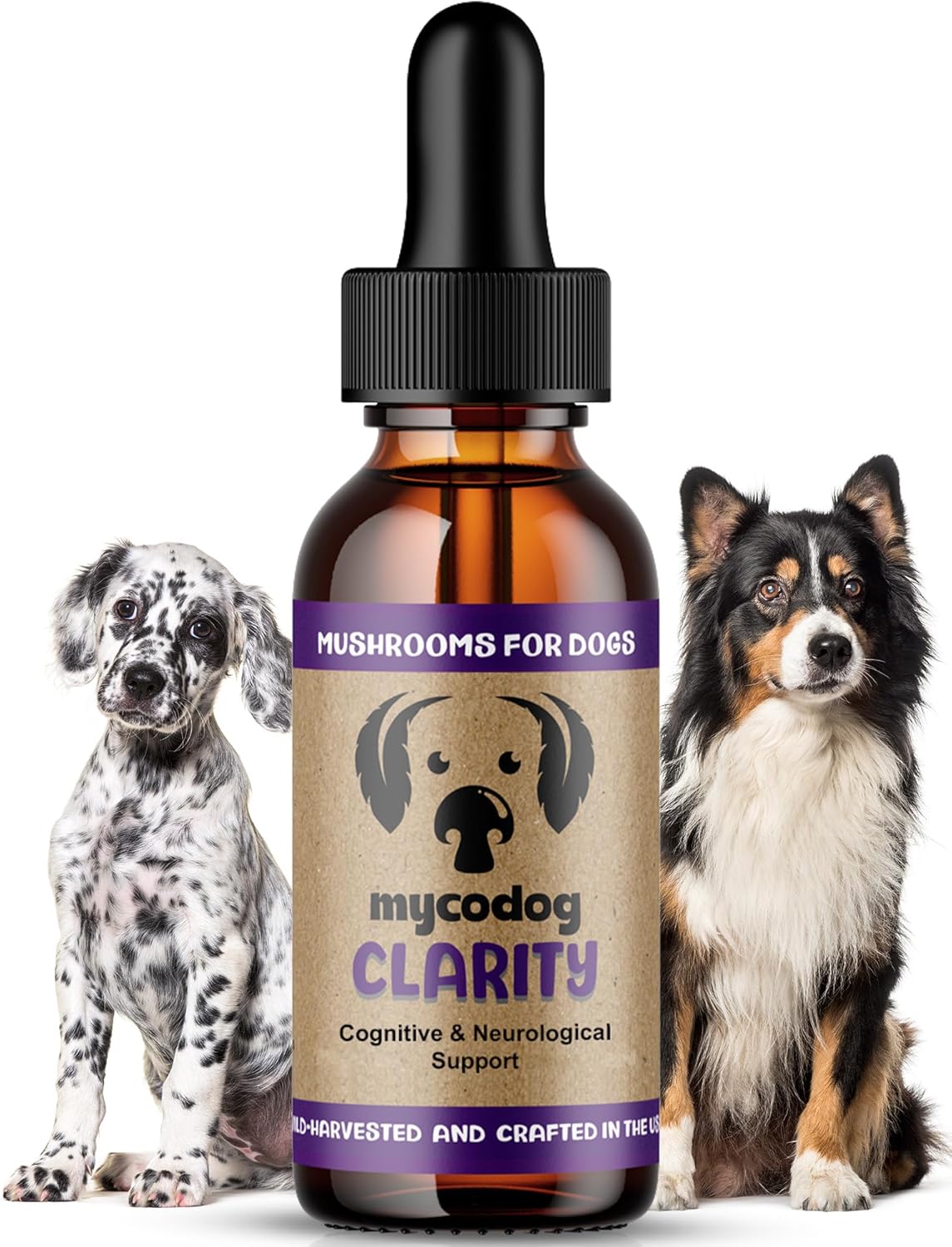 MycoDog Clarity - Complemento para la función cognitiva en perros mayores