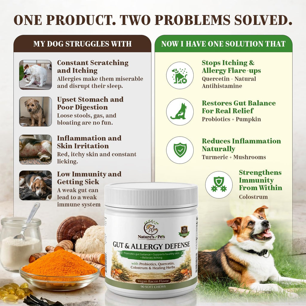 30 Billion CFU PROBIOTICS- One a Day Gut & Allergy Defense for Dogs with PREBIOTICS, QUERCETIN, Colostrum, Turmeric, Mushrooms - Itchy Skin, Allergy & Digestive Support - 90 Chews - Made in USA