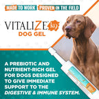 Vitalize Dog Gel, 15 ml - Suplemento de recuperación quirúrgica y apoyo inmunológico para perros pequeños - Sabor a mantequilla de maní con vitaminas, aminoácidos y prebiótico para la salud digestiva y la curación