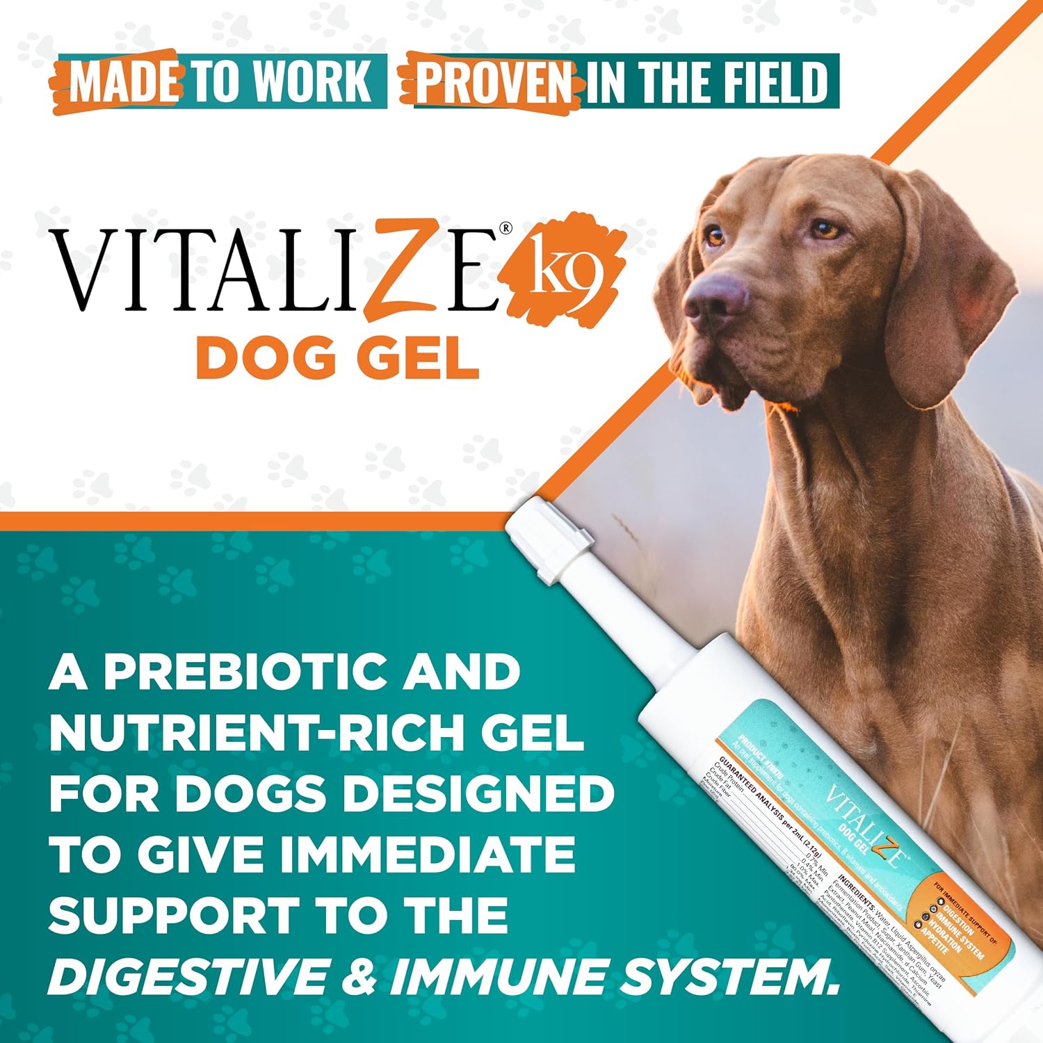 Vitalize Dog Gel, 15 ml - Suplemento de recuperación quirúrgica y apoyo inmunológico para perros pequeños - Sabor a mantequilla de maní con vitaminas, aminoácidos y prebiótico para la salud digestiva y la curación