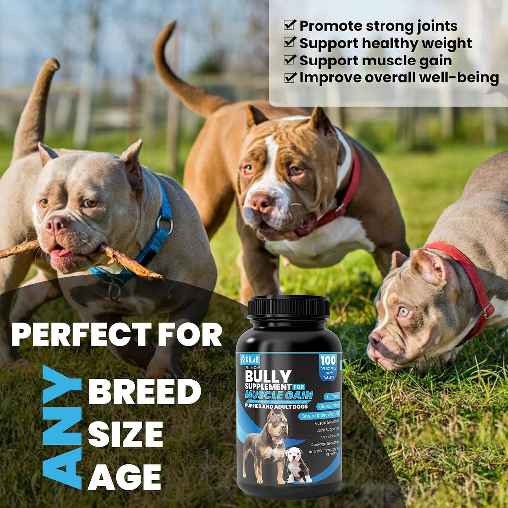 Kilab Dog Weight Gainer – 100 Comprimidos Masticables para Perros