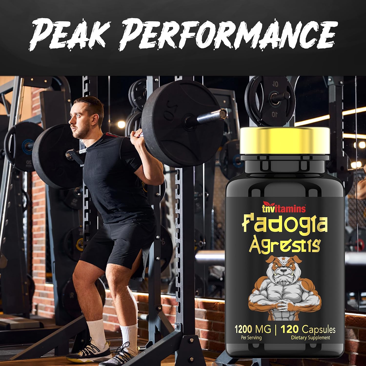 Fadogia Agrestis 1200 mg - 120 Cápsulas | Extracto Ultra Potente para Hombres