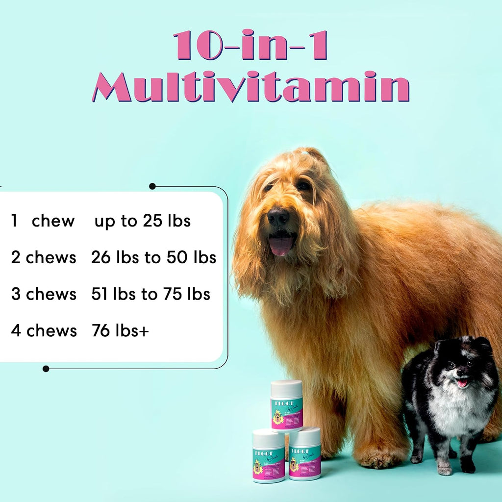 Floof by Brodie 10-en-1 Multivitamínico para Perros - 60 Masticables (180 g)